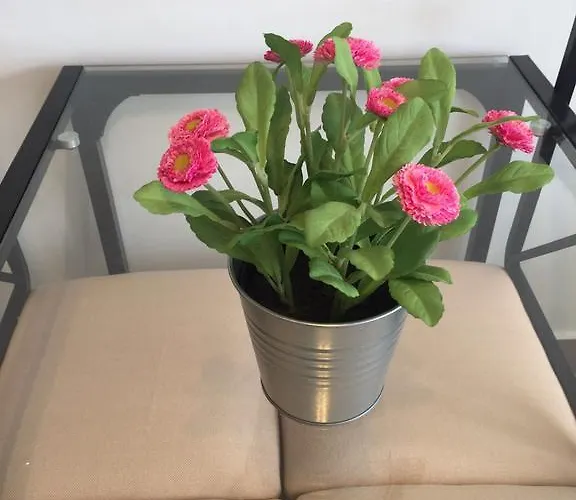 View Апартаменти *